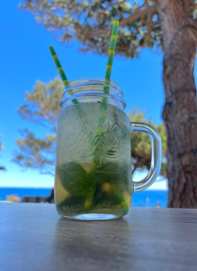Villa Les Glycines Les Issambres Εξωτερικό φωτογραφία