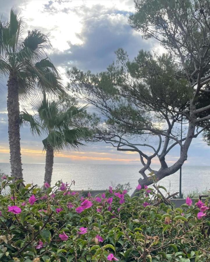 Villa Les Glycines Les Issambres Εξωτερικό φωτογραφία